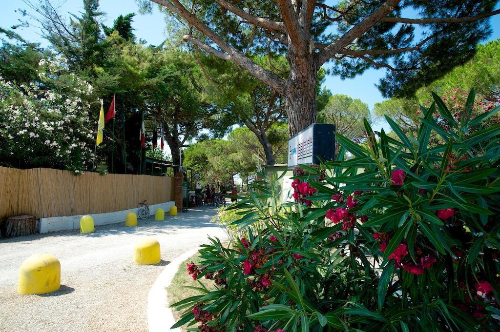 Camping Piper Puntone di Scarlino Exteriér fotografie